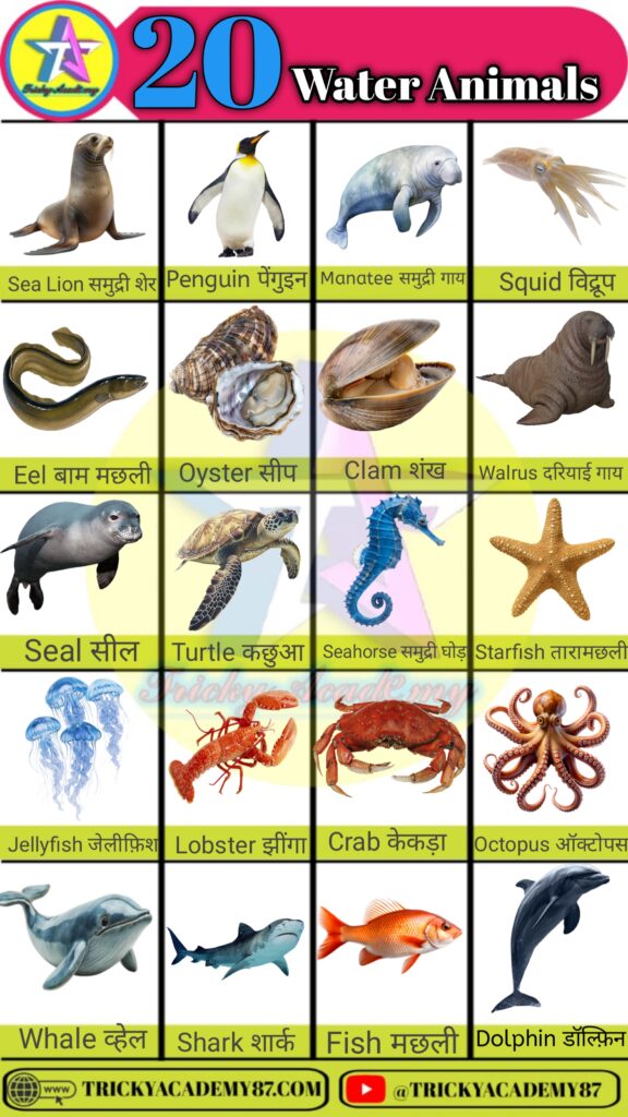 Water Animals Name