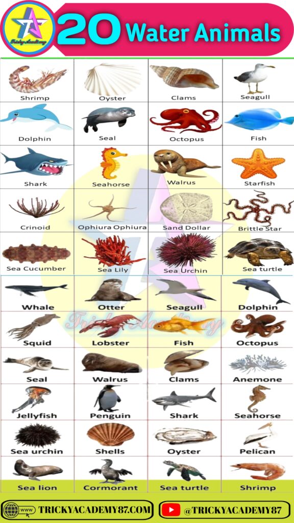 Water Animals Name ,Sea Animals Name or Ocean Animals Name