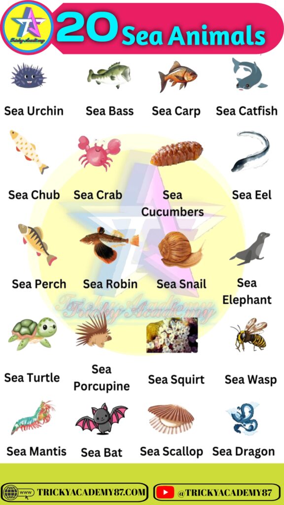 Sea Animals