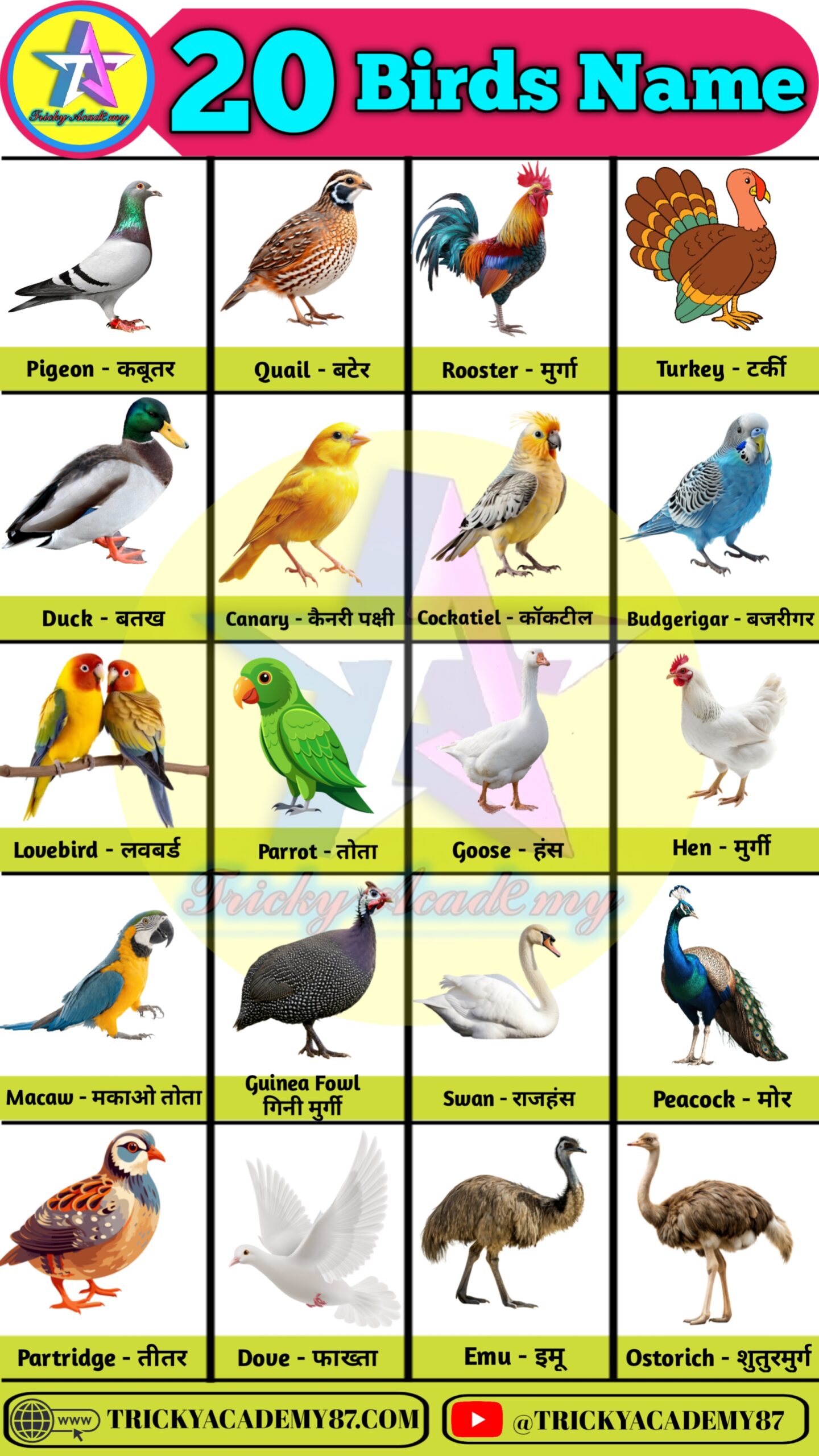 birds name