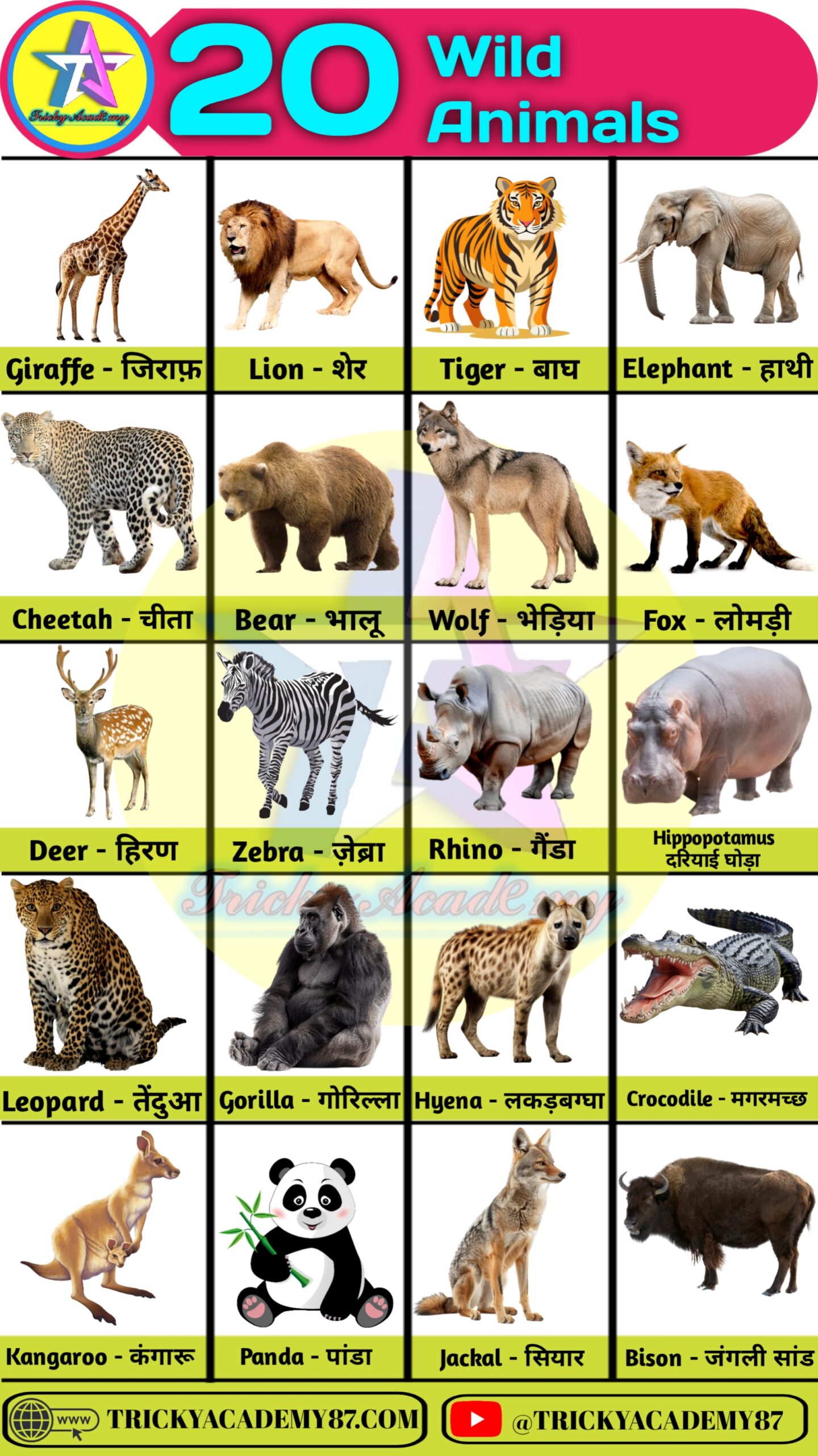 wild animals name