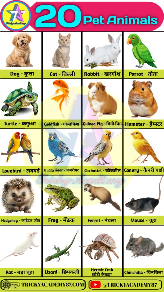 Pet Animals Name