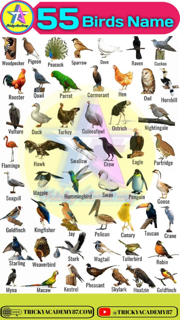 birds name
