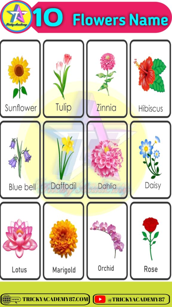 Flowers Name