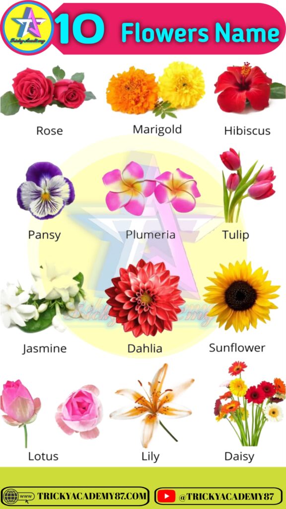 Flowers Name