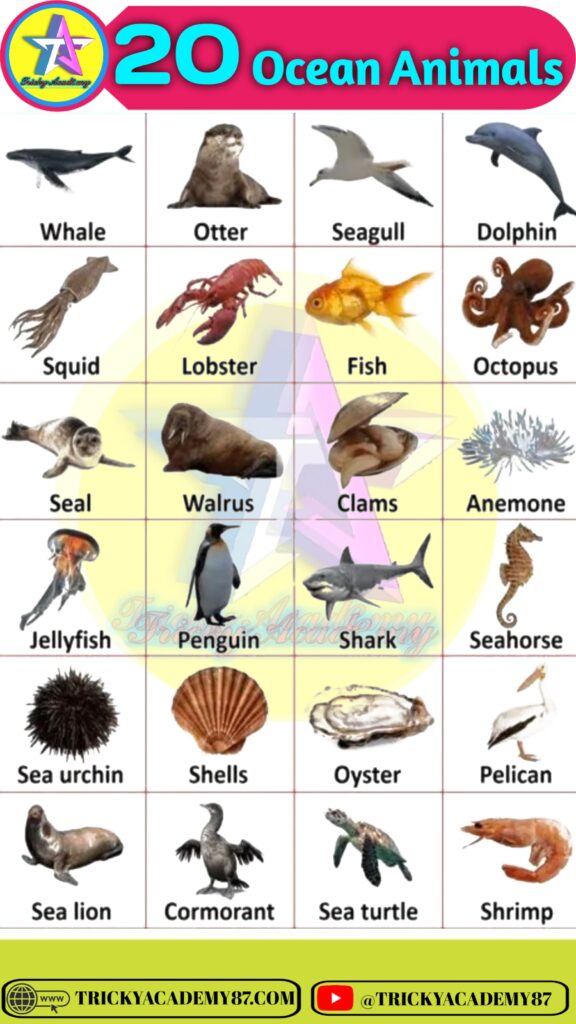 ocean animals name