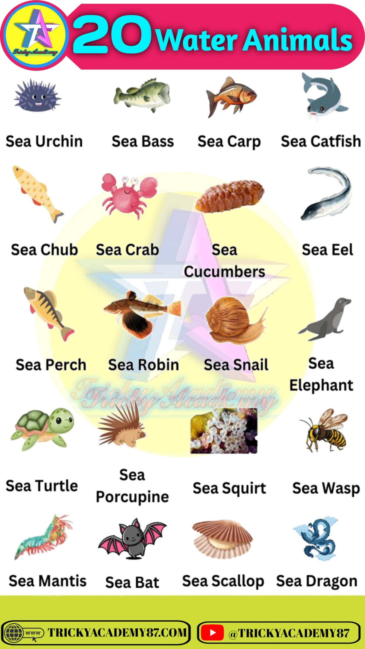 Sea Animals Name or Ocean Animals Name