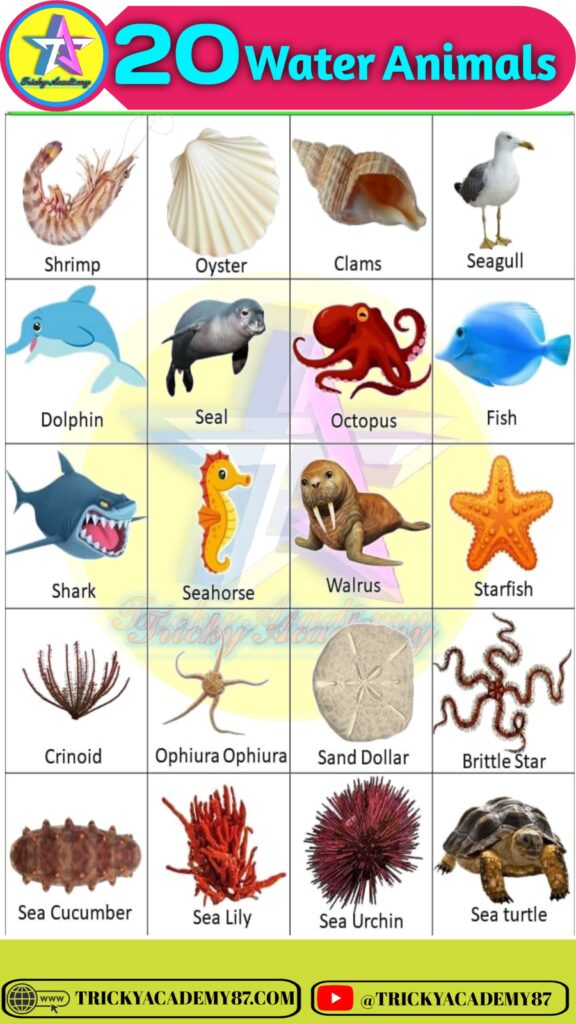 Water Animals Name ,Sea Animals Name or Ocean Animals Name