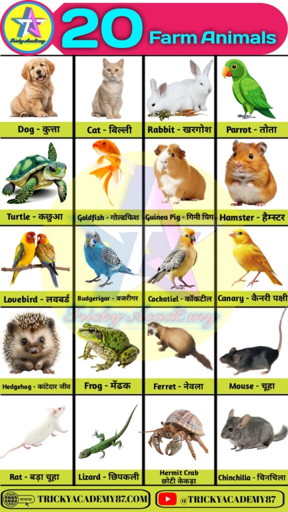 Farm Animals Name