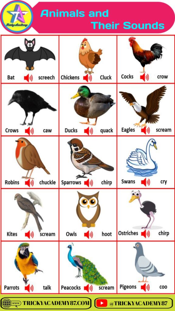 Animals and Their Sounds