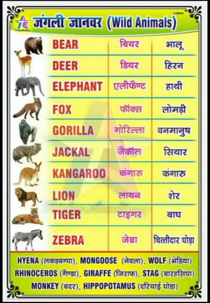 Wild Animals Name in Hindi and English