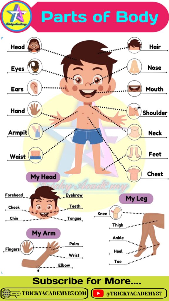 Body Parts Name